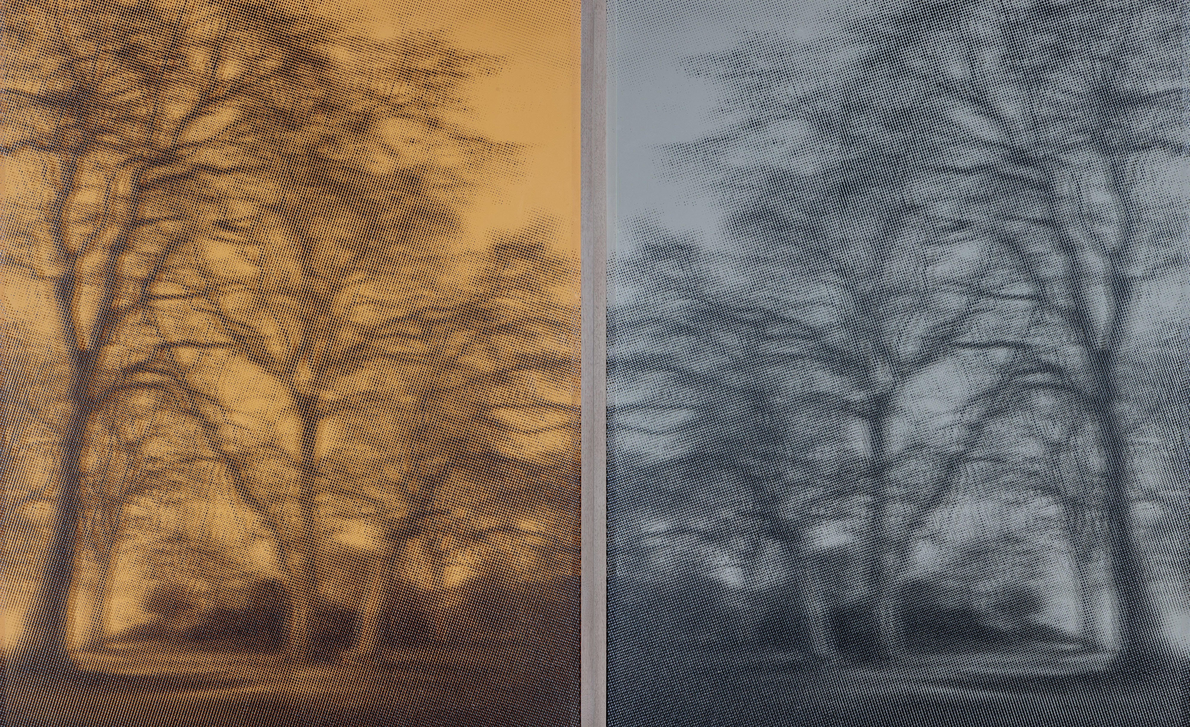 Portrait of a Tree in Silver and Steel